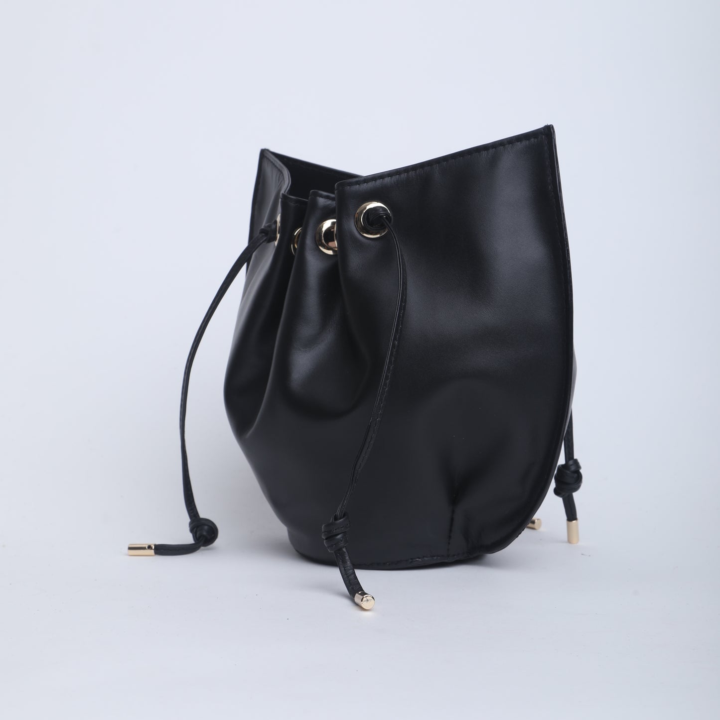Polla (Medium)